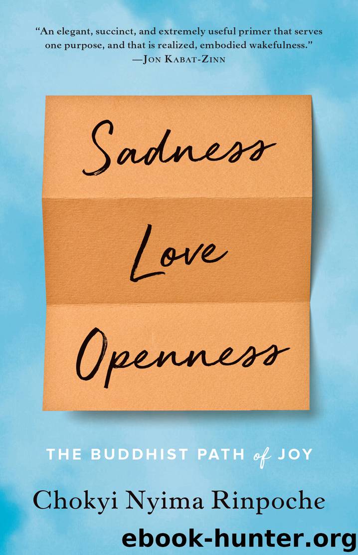 Sadness, Love, Openness by Chokyi Nyima Rinpoche