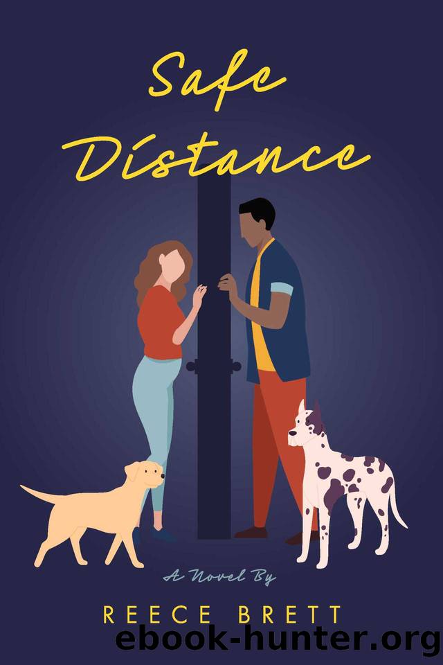 Safe Distance by Reece Brett
