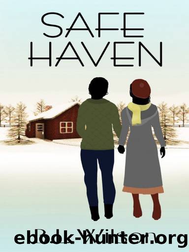 Safe Haven by B.L. Wilson