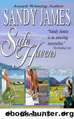 Safe Havens Bundle by Sandy James