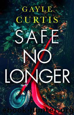 Safe No Longer by Gayle Curtis