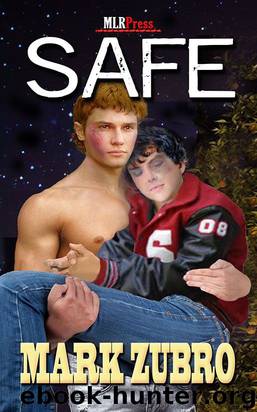 Safe by Mark Zubro