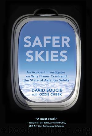 Safer Skies by David Soucie
