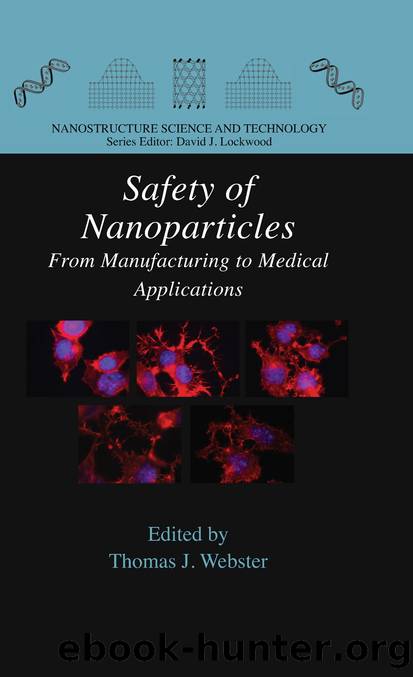 Safety of Nanoparticles by Thomas J. Webster