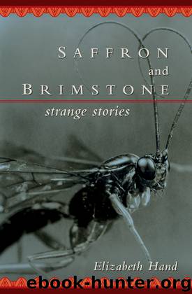 Saffron and Brimstone by Elizabeth Hand