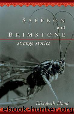 Saffron and Brimstone: Strange Stories by Elizabeth Hand