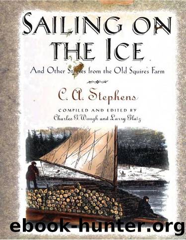 Sailing on the Ice and Other Stories (1996) by C.A. Stephens
