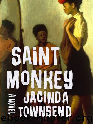 Saint Monkey by Jacinda Townsend
