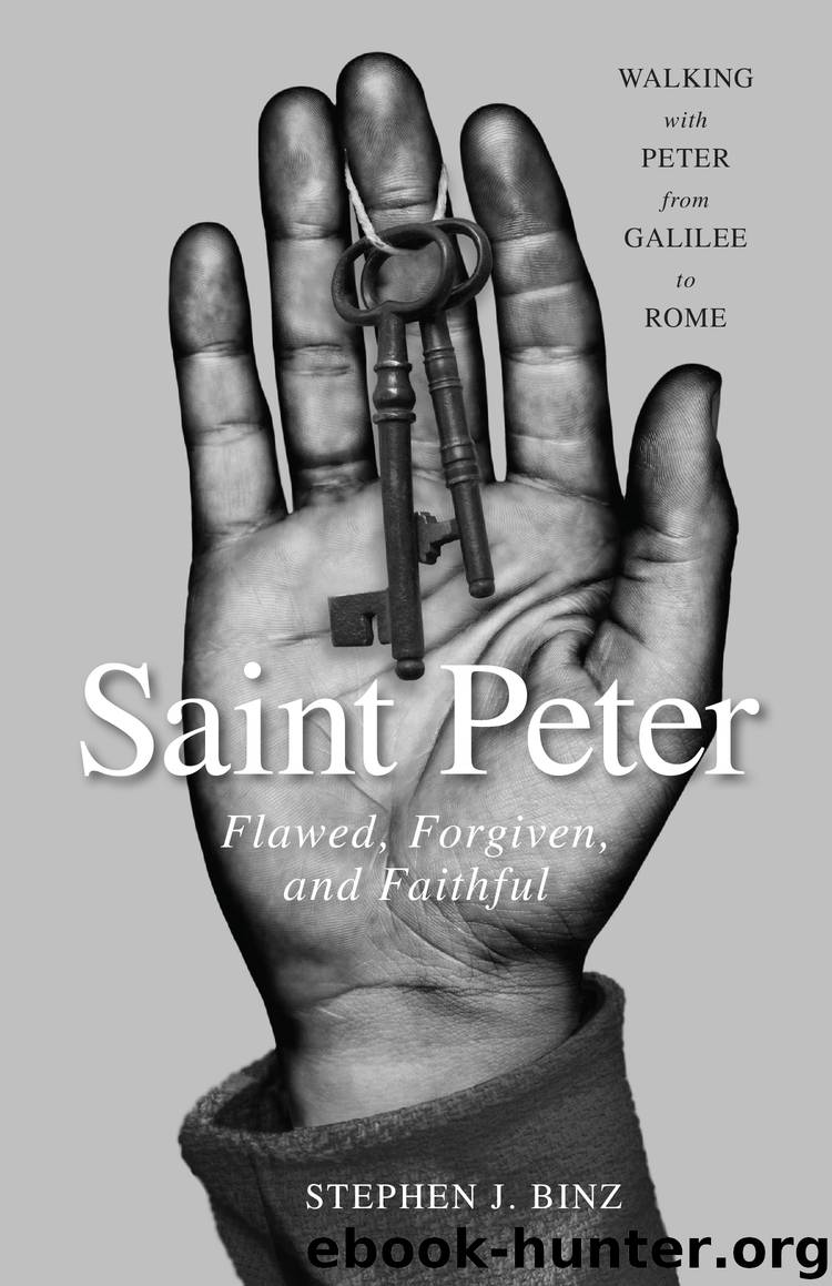 Saint Peter by Stephen J. Binz