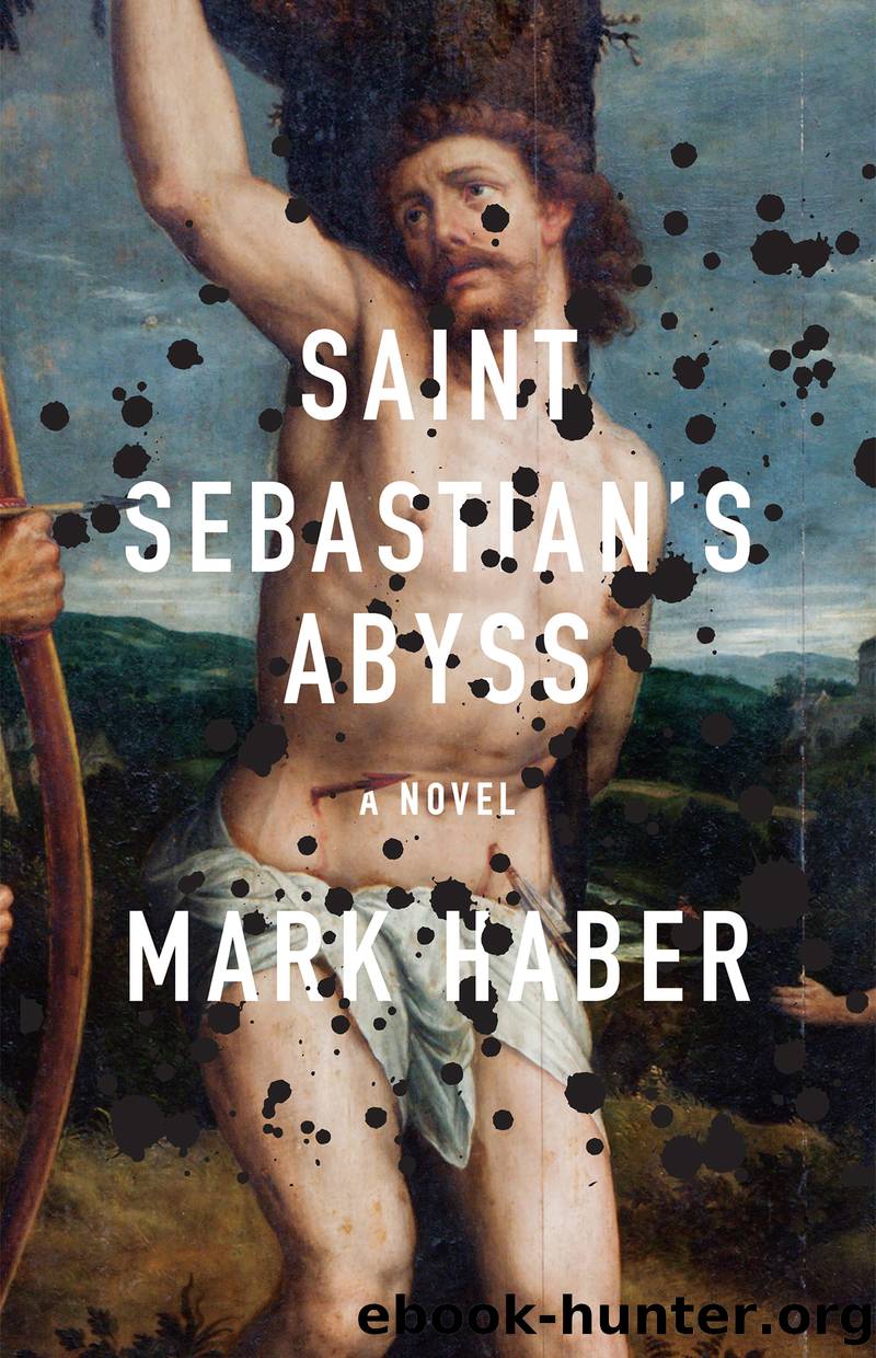 Saint Sebastian's Abyss by Mark Haber