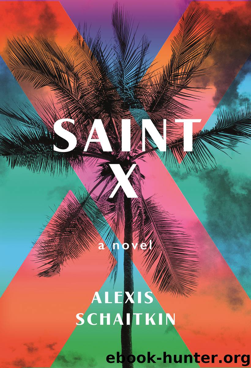 Saint X by Alexis Schaitkin