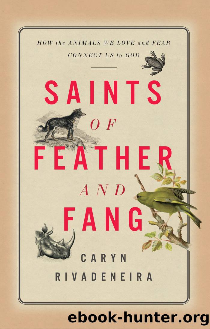 Saints of Feather and Fang by Caryn Rivadeneira