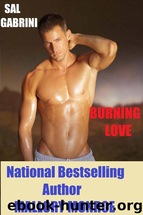 Sal Gabrini: Burning Love by Monroe Mallory