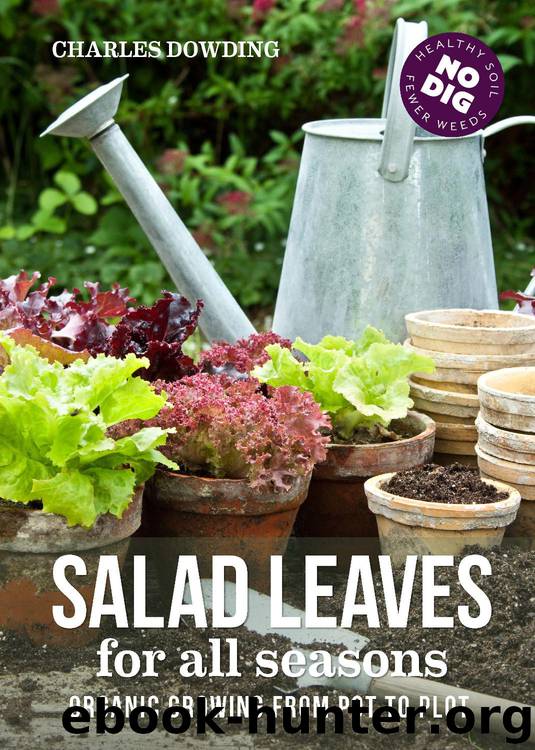 Salad leaves for all seasons by Charles Dowding