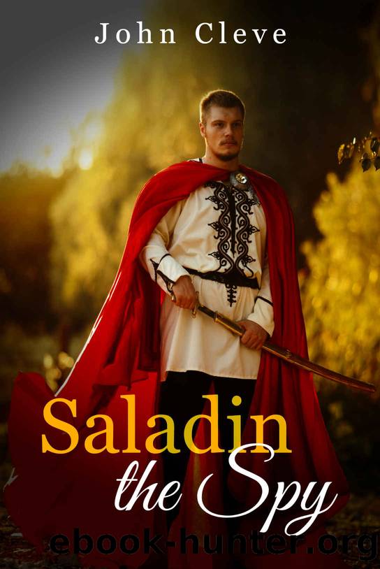 Saladin's Spy by Andrew J. Offutt