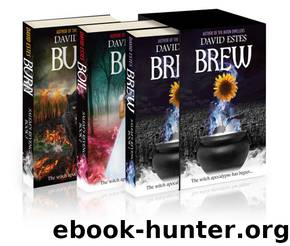 Salem's Revenge Complete Boxed Set by David Estes