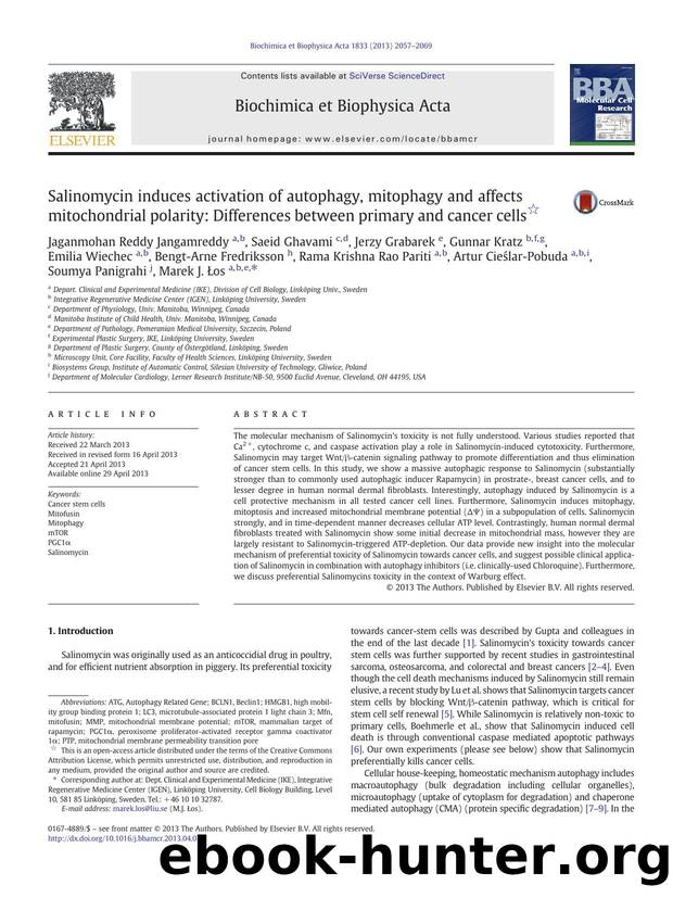 Salinomycin induces activation of autophagy, mitophagy and affects mitochondrial polarity: Differences between primary and cancer cells by unknow