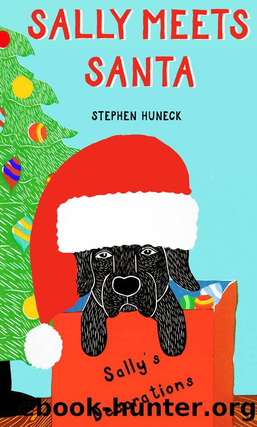 Sally Meets Santa by Stephen Huneck