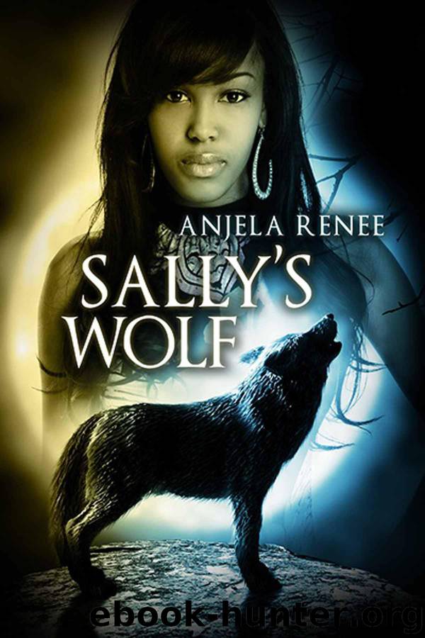 Sally's Wolf (Motor City Vampires Book 3) by Anjela Renee