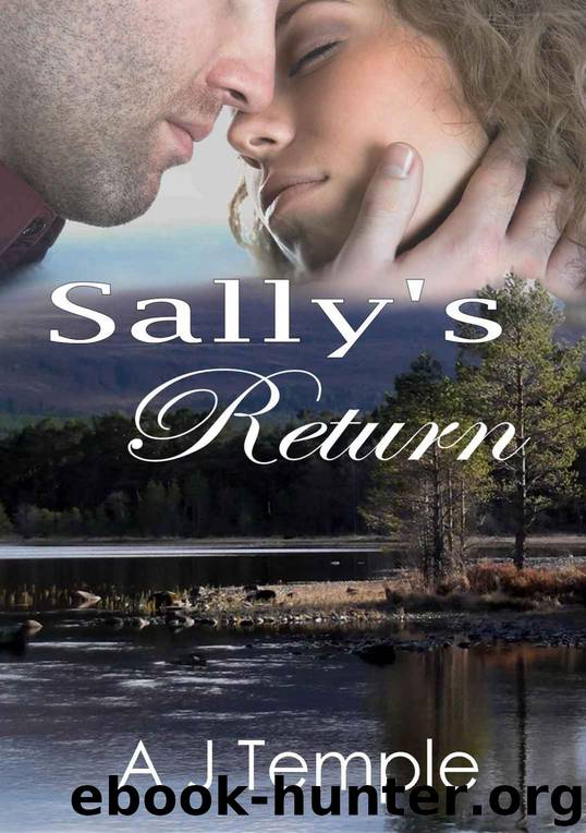 Sally’s Return: 2nd Book in this Romance Short Story Series by A. J. Temple