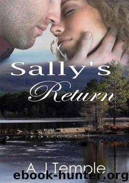 Sally’s Return: 2nd Book in this Romance Short Story Series by Temple A. J