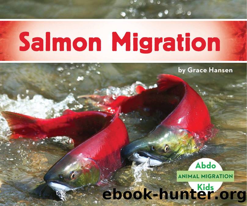 Salmon Migration by Grace Hansen