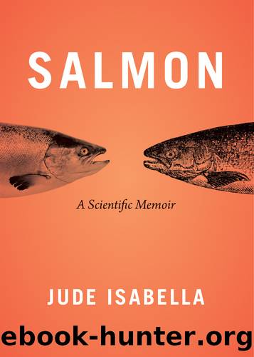 Salmon by Jude Isabella