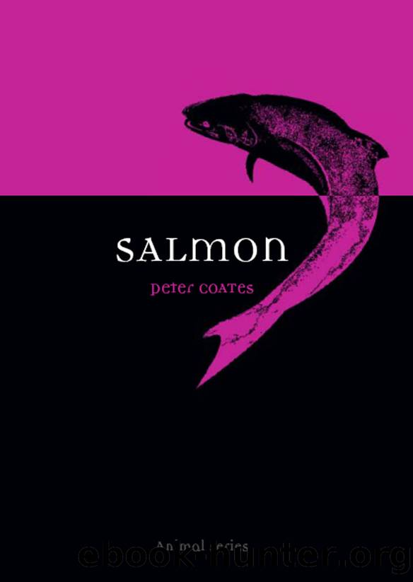 Salmon by Peter Coates