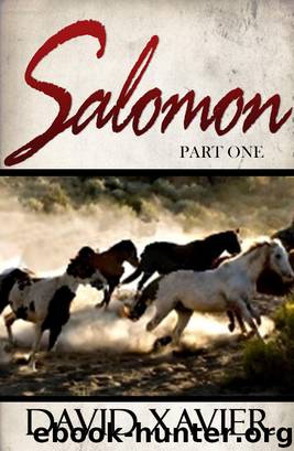 Salomon (Part One) by David Xavier