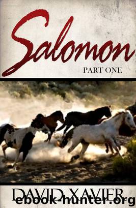 Salomon 1 by David Xavier