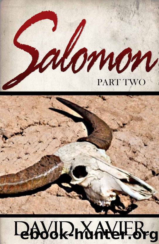 Salomon 2 by David Xavier