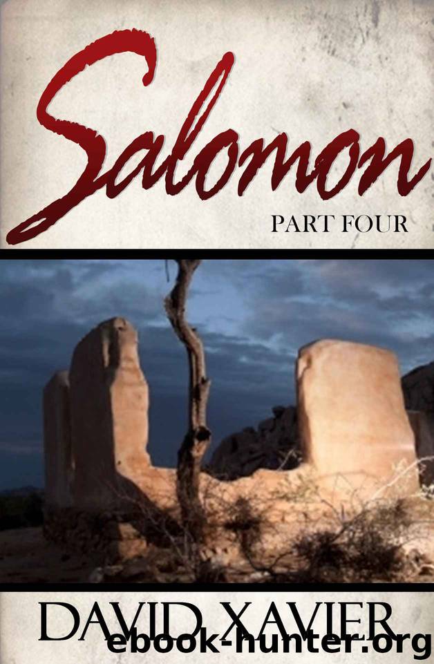 Salomon 4 by David Xavier