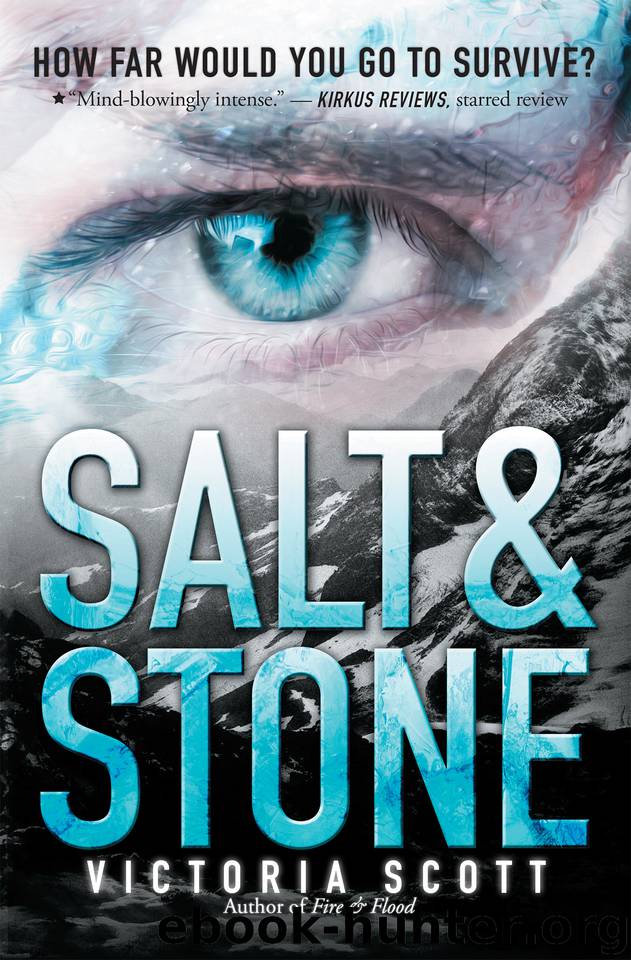 Salt & Stone by Victoria Scott
