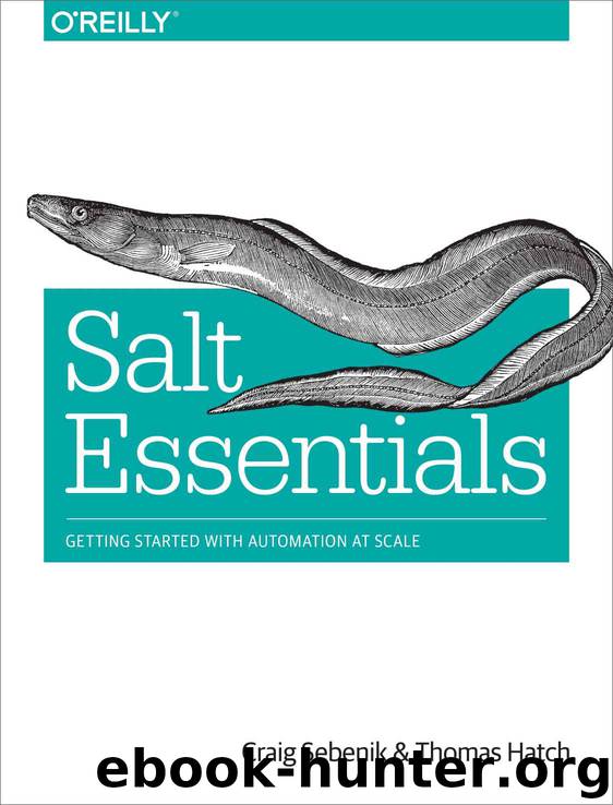 Salt Essentials by Sebenik Craig & Hatch Thomas
