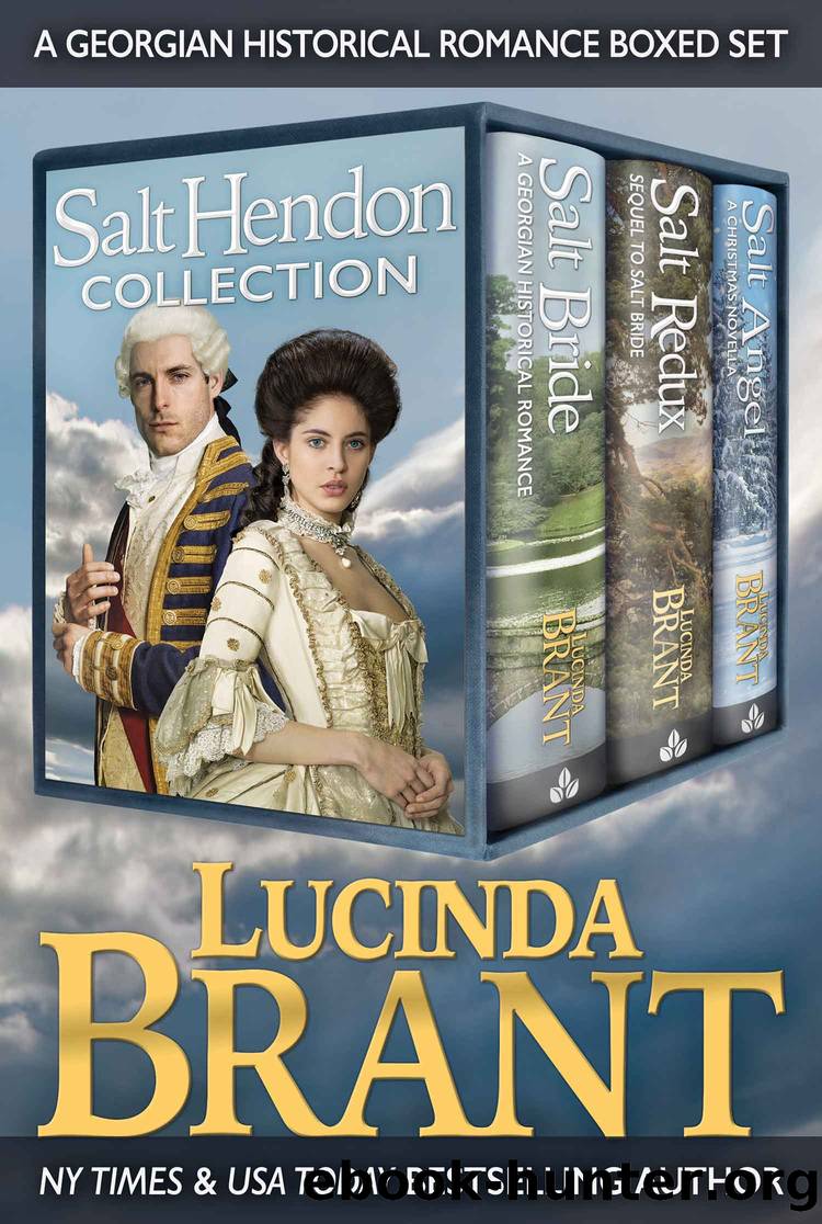 Salt Hendon Collection by Lucinda Brant
