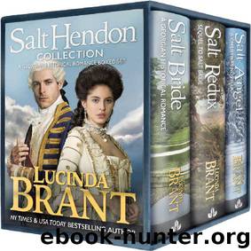 Salt Hendon Omnibus 01 to 03 by Lucinda Brant