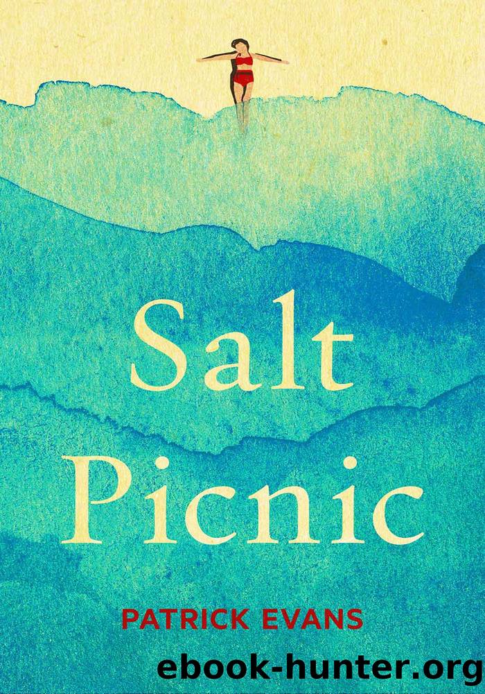 Salt Picnic by Patrick Evans