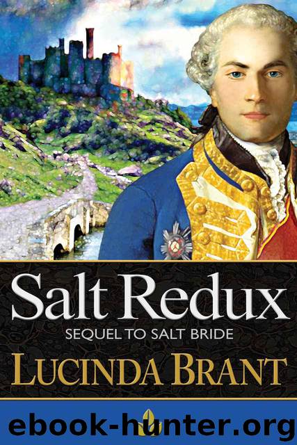 Salt Redux: Sequel to Salt Bride (Salt Hendon) by Lucinda Brant