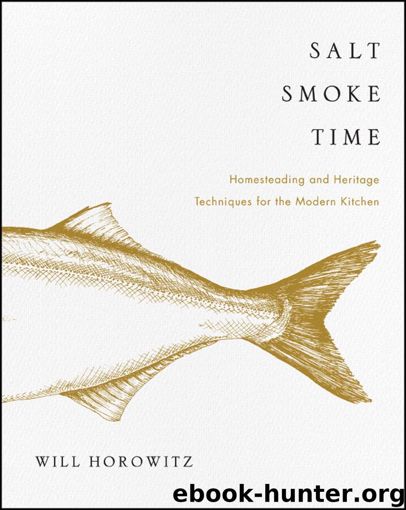 Salt Smoke Time by Will Horowitz