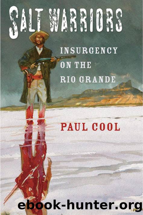 Salt Warriors: Insurgency on the Rio Grande by Paul Cool