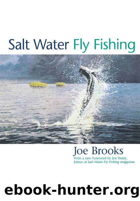 Salt Water Fly Fishing by Joe Brooks