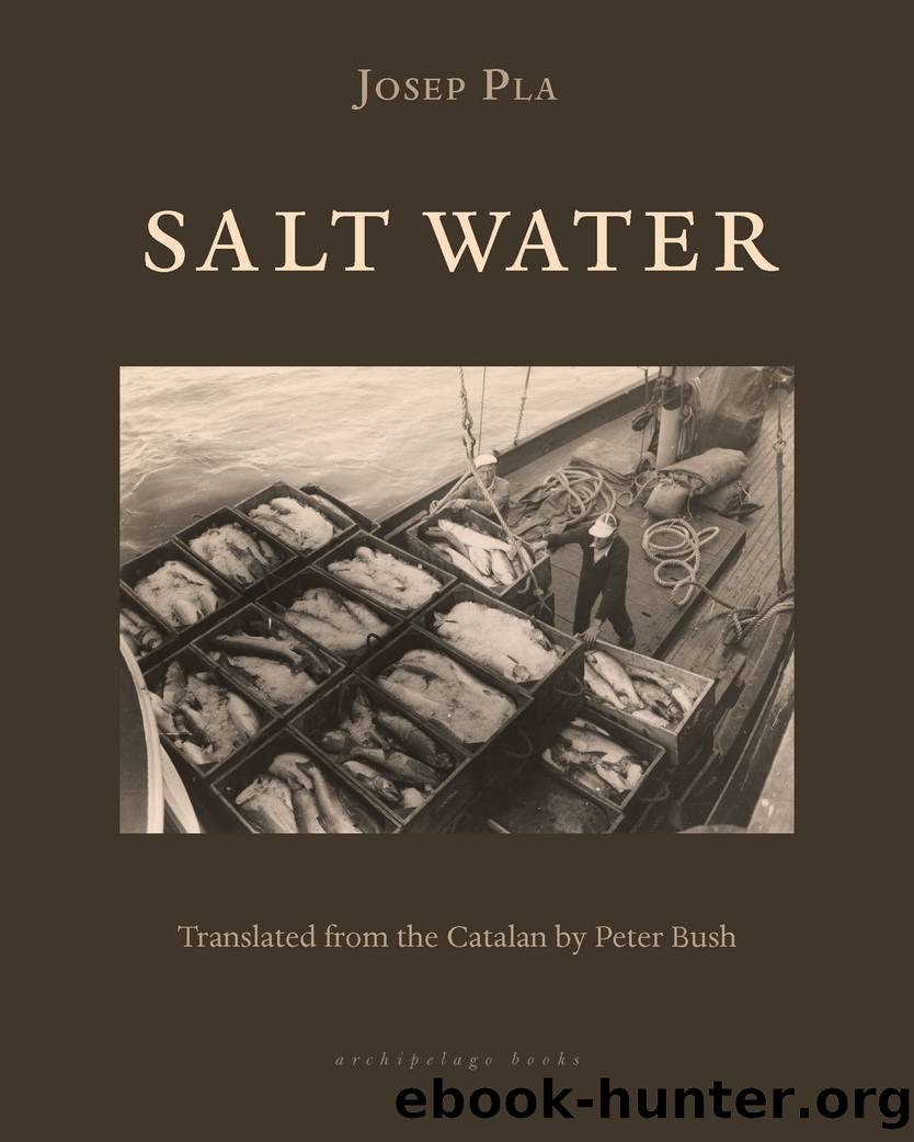 Salt Water by Josep Pla