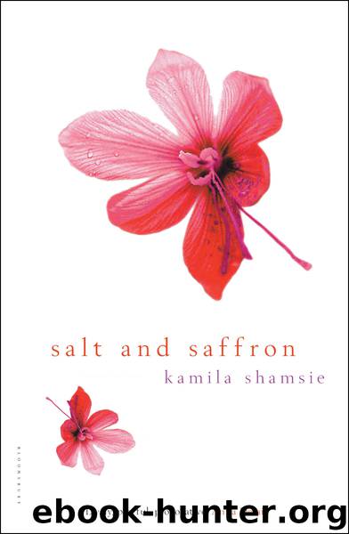Salt and Saffron by Kamila Shamsie