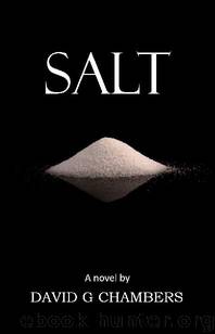 Salt by David Chambers