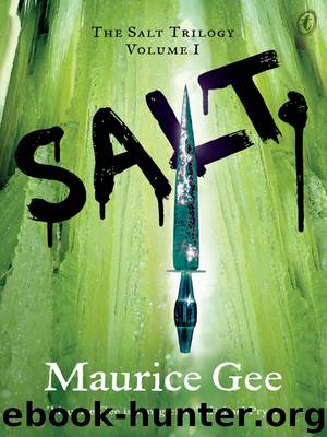 Salt by Maurice Gee