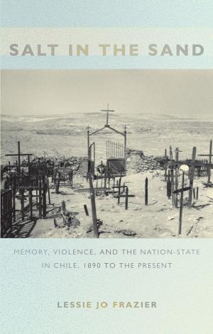 Salt in the Sand: Memory, Violence, and the Nation-State in Chile, 1890 to the Present by Lessie Jo Frazier Julia Adams and George Steinmetz