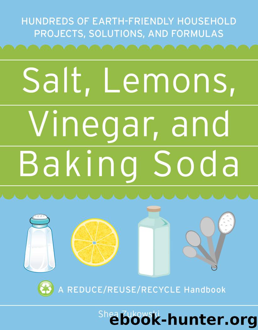 Salt, Lemons, Vinegar, and Baking Soda by Shea Zukowski