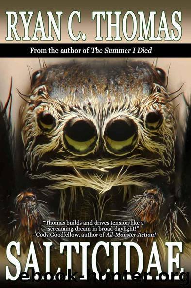 Salticidae by Ryan C. Thomas