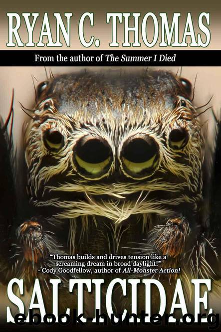 Salticidae by Thomas Ryan C
