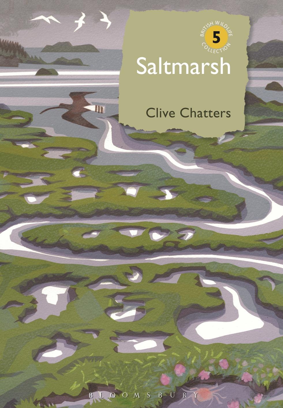Saltmarsh (British Wildlife Collection) by Unknow